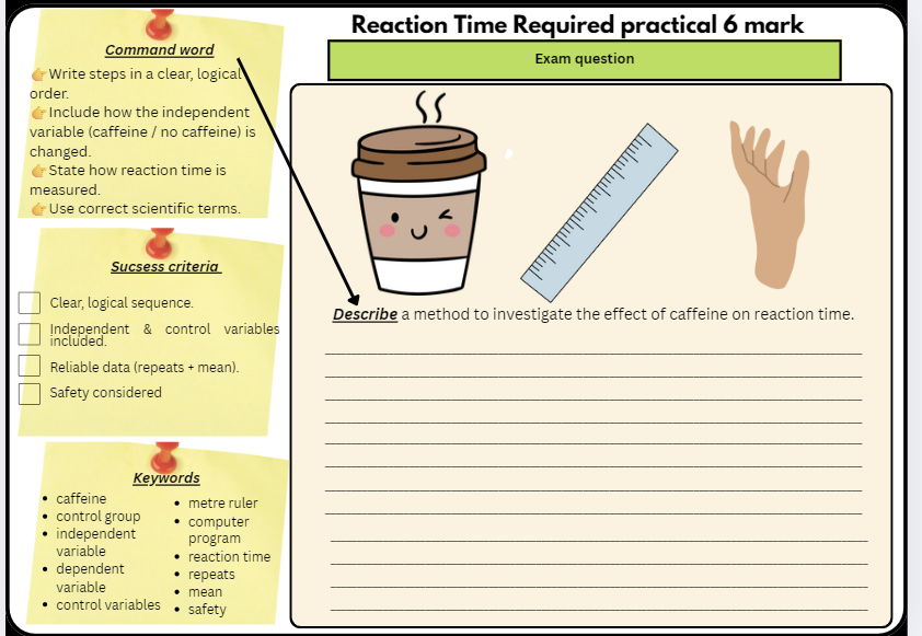 ⭐ GCSE Science Required Practicals MEGA BUNDLE (Paper 1 Biology, Chemistry & Physics) ⭐
