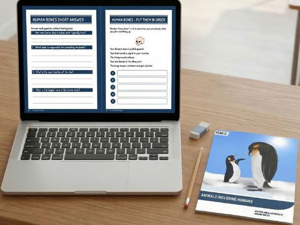 Animals Including Humans Year 3 — Booklet & Workbook Bundle