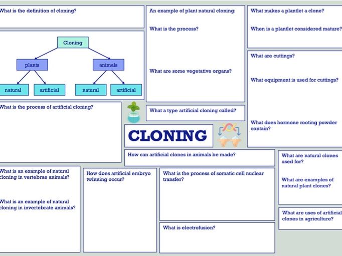 OCR A Level Biology Cloning and Biotechnology Mind Map | Teaching Resources