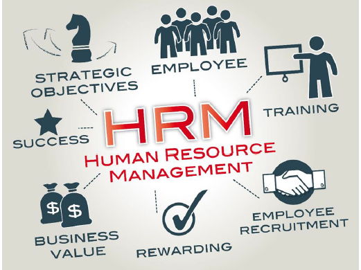 Cambridge A Level Business - 7.4 Human resource management (HRM) strategy