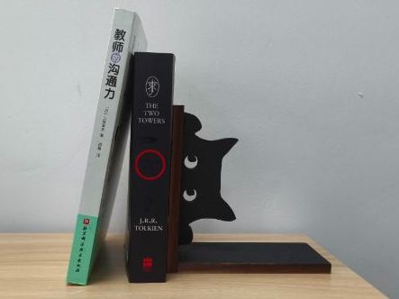 DT Practical Guide - Wooden Bookend