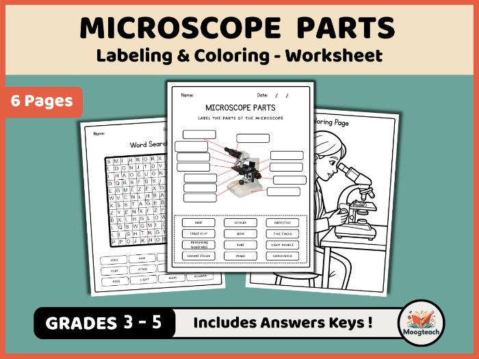 Parts of a Microscope | Science Tools | Biology | Labeling | Coloring Worksheet | KS2 | KS3