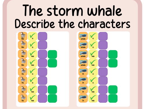 The storm whale- colourful semantics- description