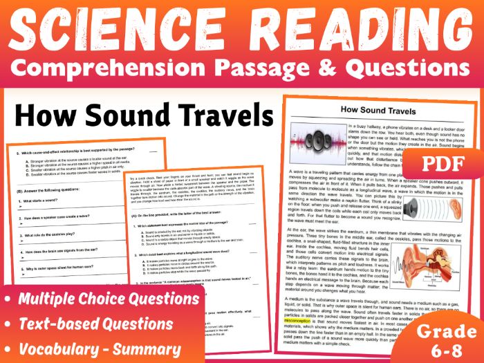 How Sound Travels Science Reading Comprehension Passage (4 formats)