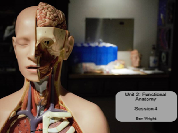 Functional Anatomy BTEC Nationals Sport and Exercise Science Unit 2 Lesson 4