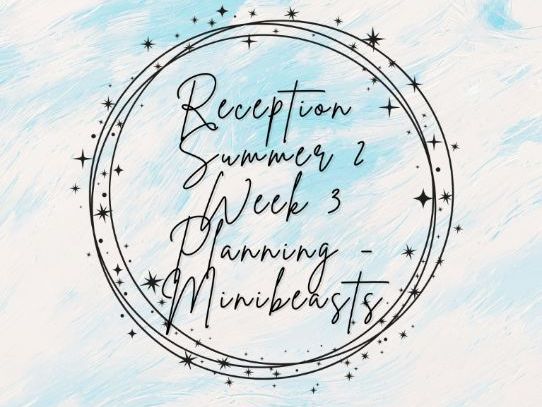 Reception - Summer 2 - Week 3 Planning (Minibeasts)