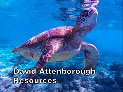 David Attenborough Resources