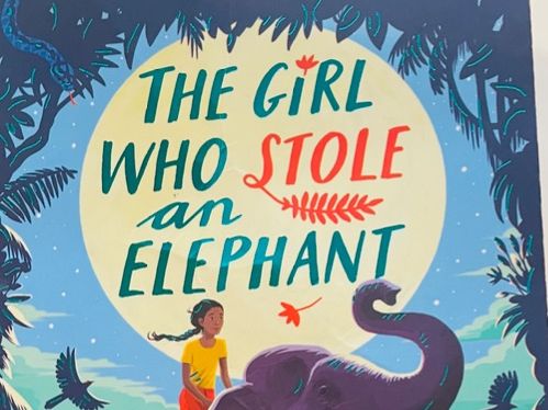 4 weeks of Shared reading The Girl Who Stole An Elephant by Nizrana Farook