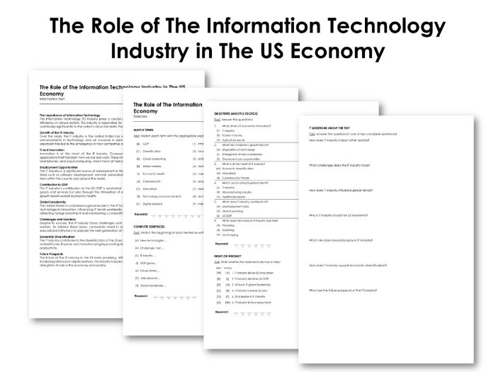 The Role of The Information Technology Industry in The US Economy ...