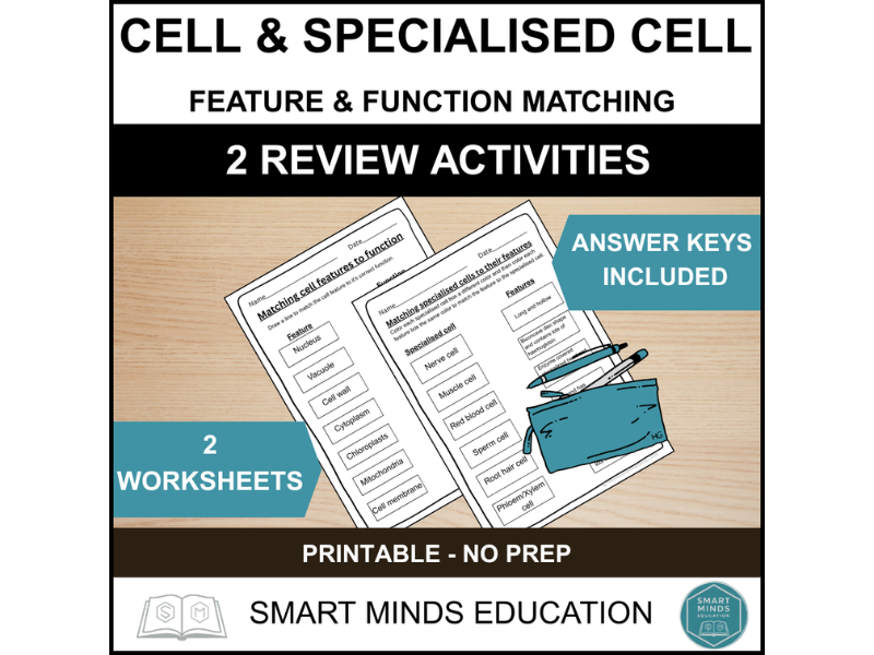 CELL STRUCTURE & FUNCTIONING MATCHING ACTIVITY | SPECIALISED CELL  FUNCTION MATCHING WORKSHEET