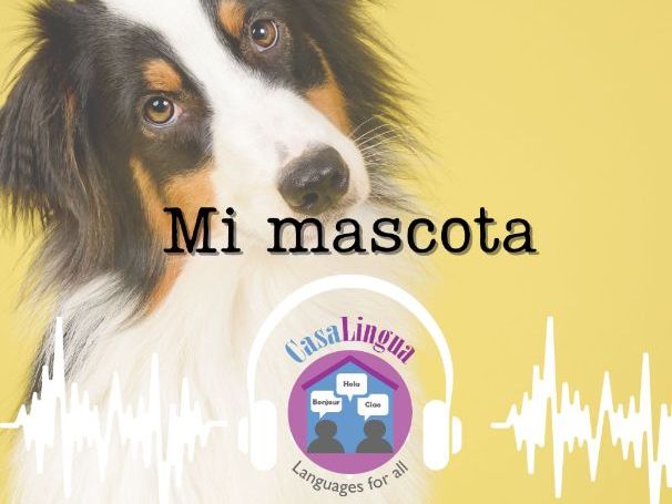 "Mi Mascota": Spanish listening/comprehension tasks (KS4/5; post-beginners)