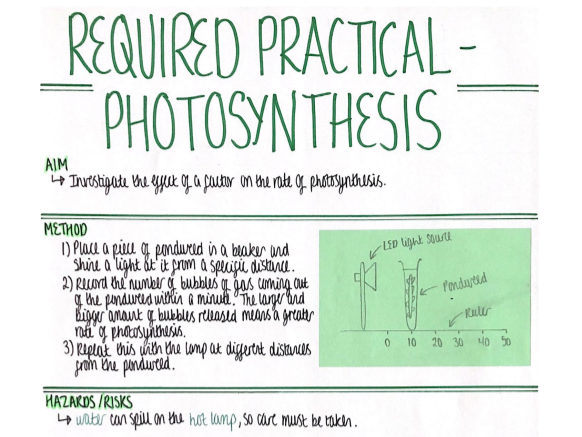 RP - Photosynthesis (Bioenergetics) Revision Poster [AQA GCSE Biology Double and Triple 9-1]