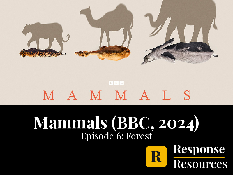 Mammals (BBC, 2024) - Episode 6: Forest - Worksheet & Key