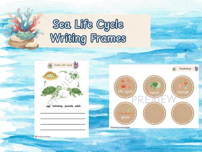 Sea Life Cycles Writing Activity
