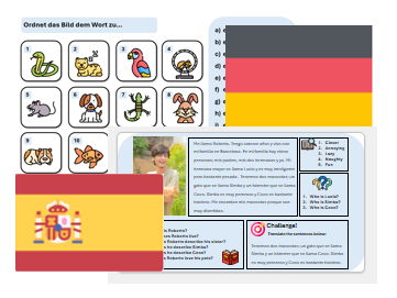 Pets (German & Spanish)  – Teaching & Assessment Package