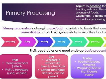 Primary and Secondary Processing Revision