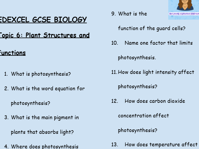 Edexcel GCSE Biology Topic 6: Plant Structures and Functions – 30 Q's Retrieval Sheet (With Answers)