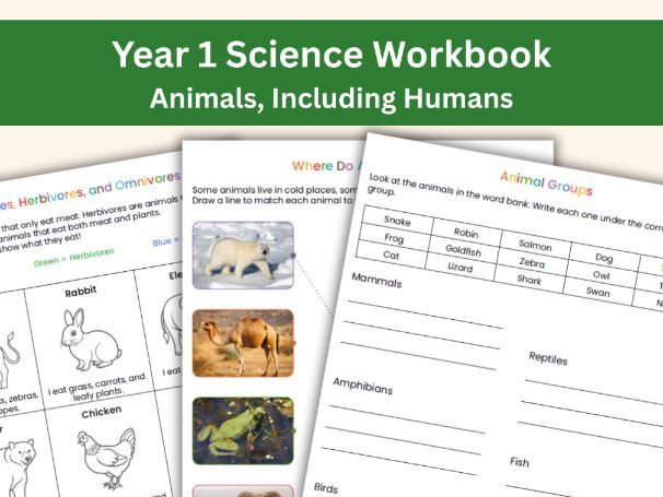 Year 1 Science: Animals Including Humans | 19-Page Workbook | KS1 National Curriculum