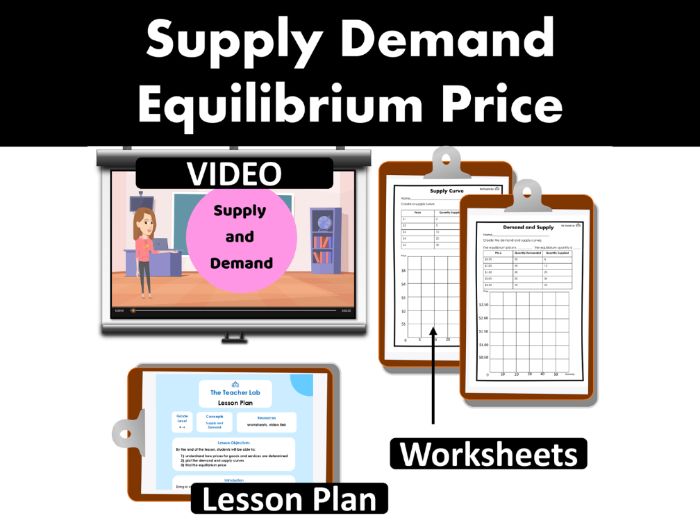 Supply and Demand Activities Economics Lesson