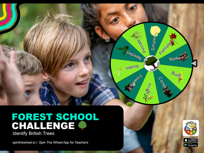 Forest School Identify Trees Spin The Wheel