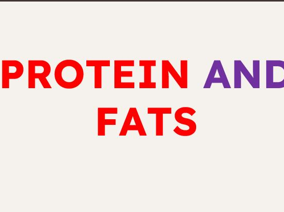 Proteins & Fats [IGCSE Biology 0620]