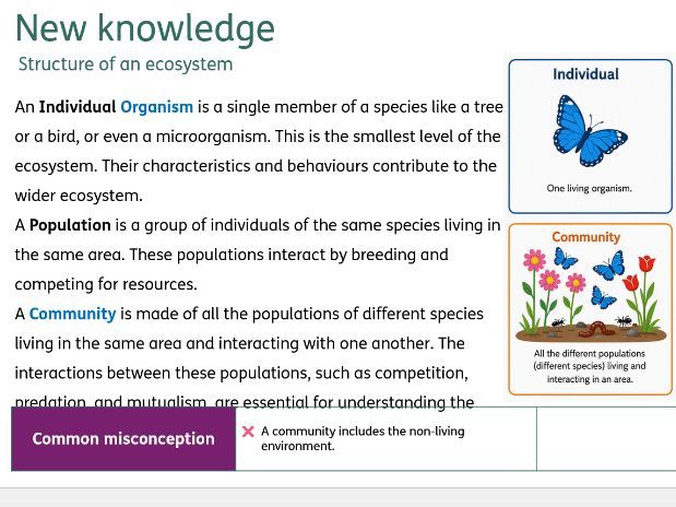Communities (Organising an ecosystem)