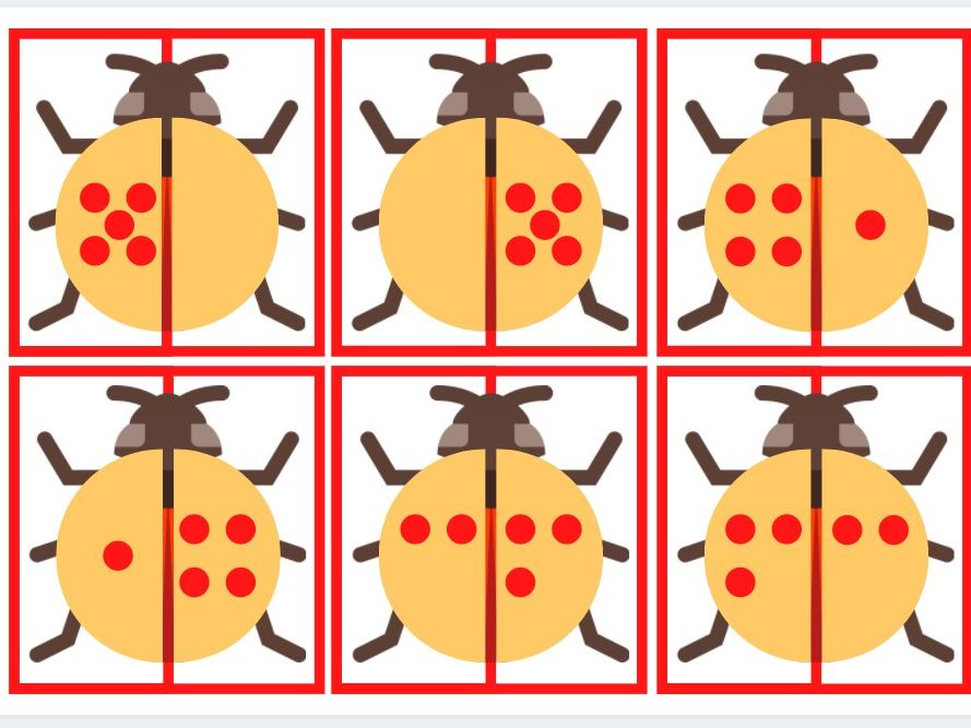 Ladybird matching cards