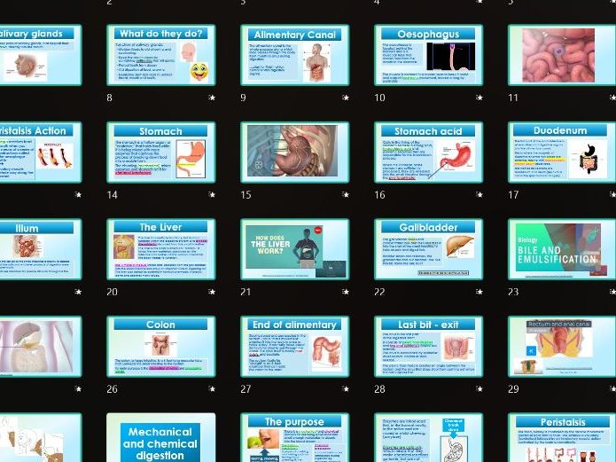 AAQ BTEC Health & Social Care Unit 2 Human Biology B6.1.4 Digestive Diabetes