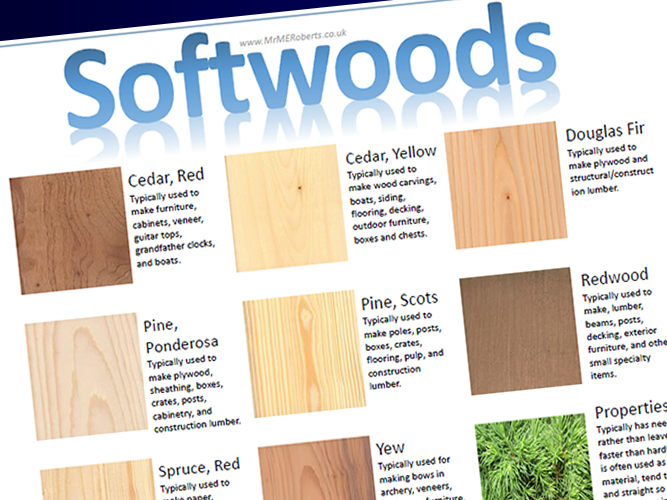 Table Top Resources Softwoods A3 Teaching Resources