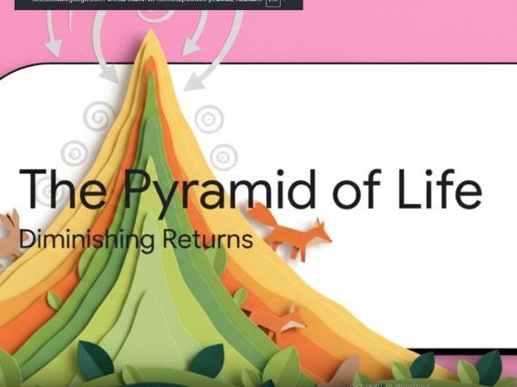 Food Webs and Trophic Levels: Full 7-Minute Educational Video Lesson