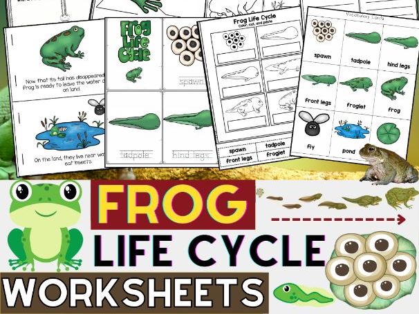 Frog Life Cycle Worksheets, Reading Passages & Sequencing Activities | Spring