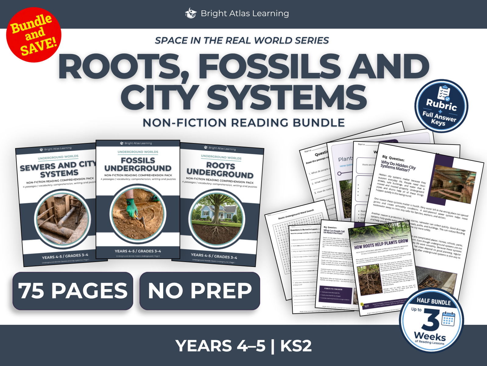 Sewers, Fossils and Roots Reading Comprehension Bundle | KS2 Years 4–5
