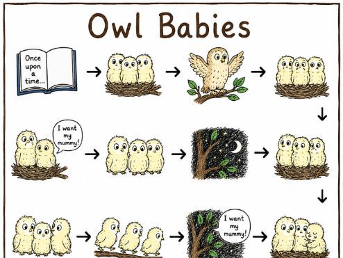 Owl babies and Rainbow fish story maps