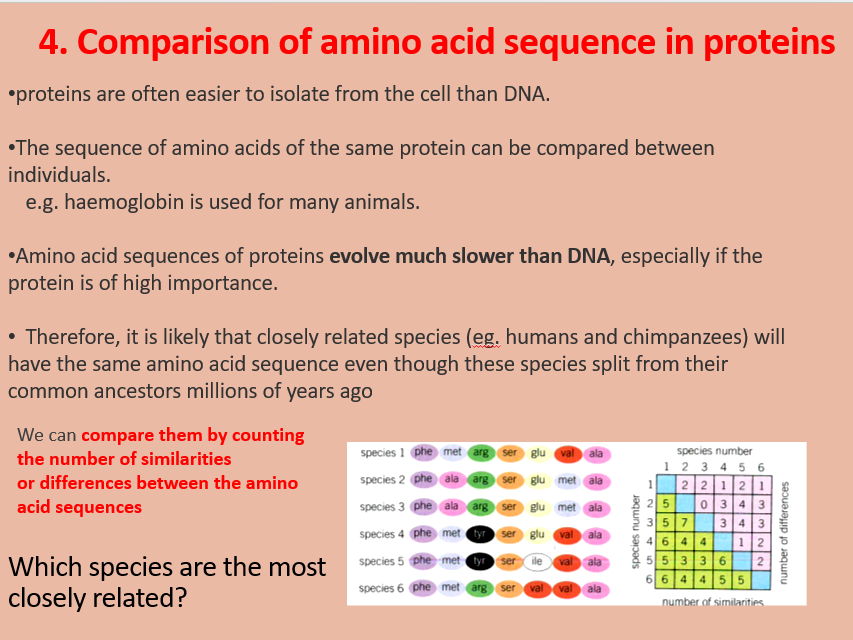 AQA A level Biology Topic 4. Investigating genetic diversity (3.4.7) and immunological comparisons (