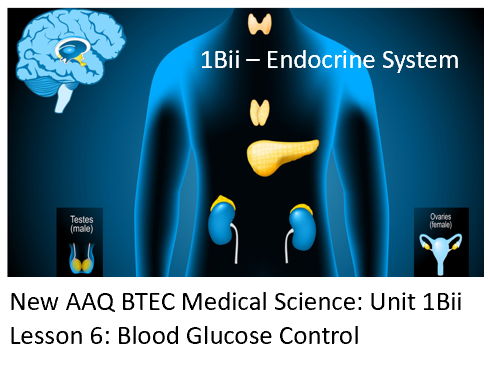 NEW: AAQ BTEC Medical Science Unit 1Bii Endocrine System - Lesson 6: Blood Glucose Control