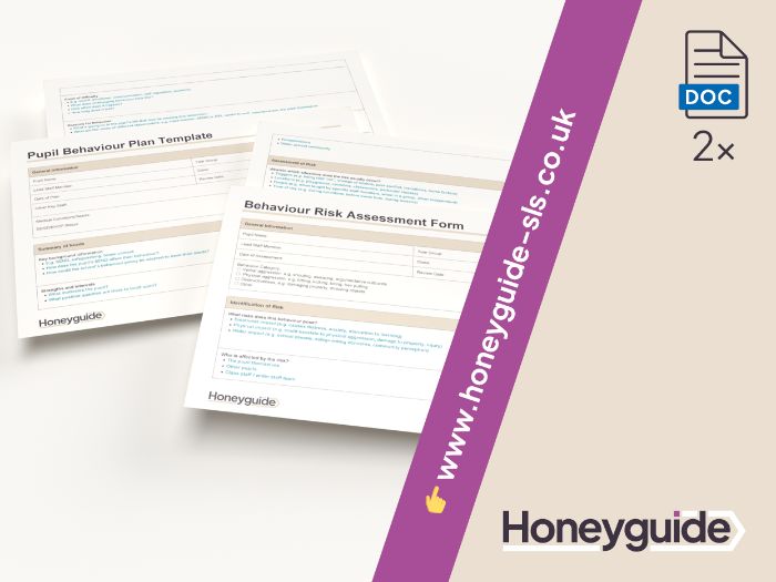 Behaviour Support Plan and Risk Assessment Bundle