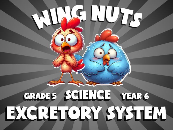 Excretory System WING NUTS Science Game | No-Prep Year 6 Review Activity