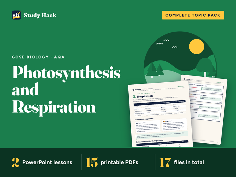 GCSE Biology Photosynthesis and Respiration Pack (AQA)