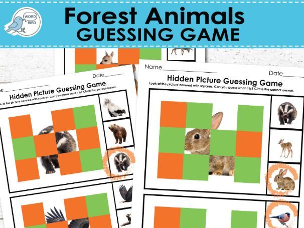Forest Animals Hidden Picture Guessing Game | 10 Pages | Preschool, ESL, Montessori