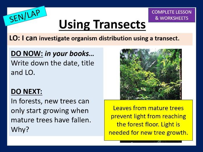 Transects - SEN