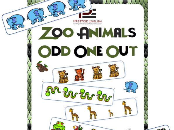Zoo Animals Odd One Out | Worksheets
