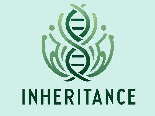 B6 Inheritance Variation and Evolution GCSE Biology Flashcards | Biology Revision