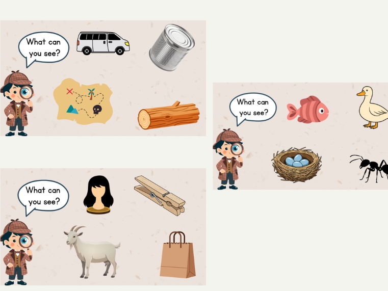 What Can You See? Morning Slides - Phase 2 and 3