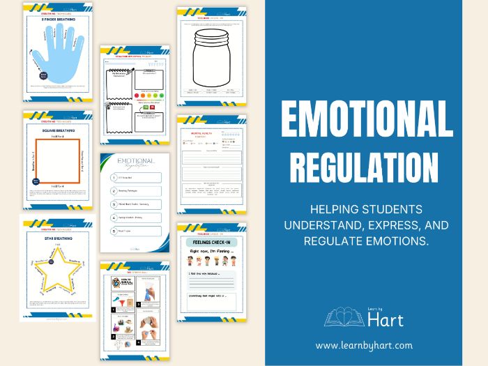 Emotional Regulation Toolkit!