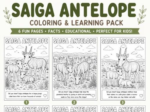 Saiga Antelope Coloring Pages for Kids | Wildlife Coloring Pack with Fun Facts