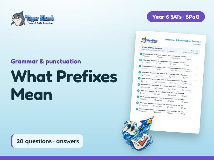 What Prefixes Mean Worksheet: Year 6 SPaG