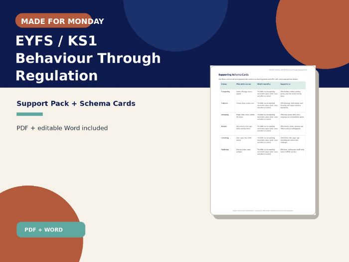 EYFS KS1 Behaviour Through Regulation Pack | Schema Cards