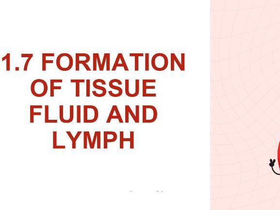 Level 3 Health + Social Care L04 1.7 Formation Of tissue fluid + Lymph