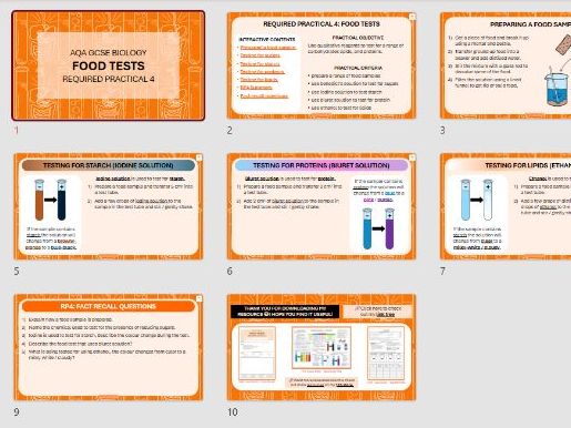 RP4 Food Tests – Summary PPT (GCSE Biology)