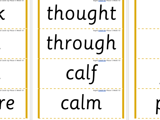 Rapid Catch Up Phase 5 Week 10 (Supports Little Wandle)